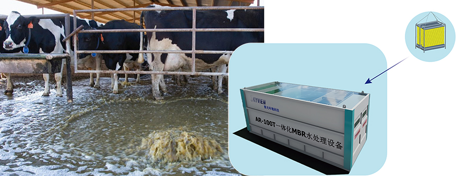 Livestock Wastewater Treatment